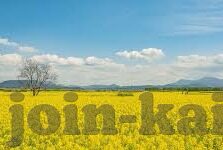 开云全站app-重塑娱乐新体验，开云全站app的革新策略与未来展望
