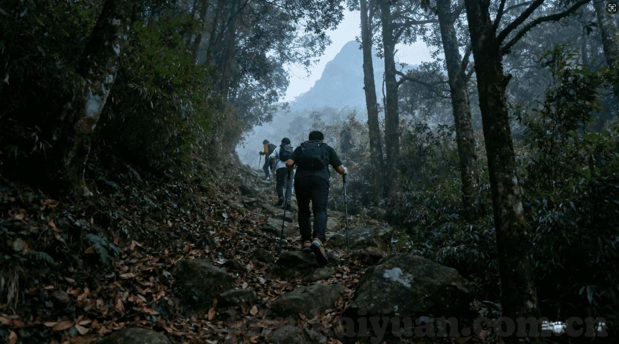 永利娱乐备用网址-永利娱乐备用网址，深度探讨及用户体验分析